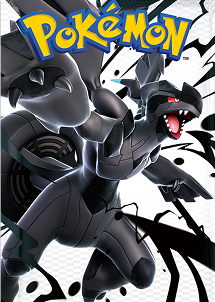 Pokémon TCG: Black Bolt & White Flare – A Comprehensive Unova Collection
